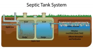 How Your Septic System Works