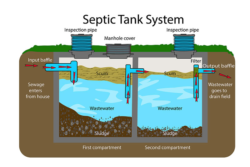 Your Septic System - A Diagram